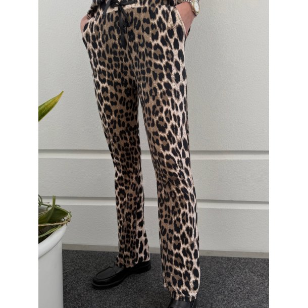 Alma Wide Pants- Big Leo Fossil