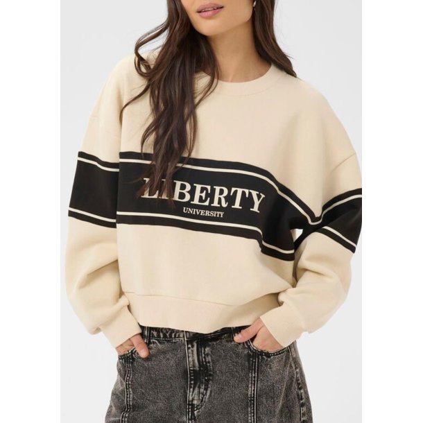 Assia Sweatshirt- Turtledove