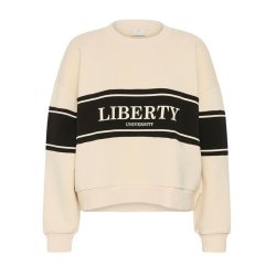 Assia Sweatshirt- Turtledove