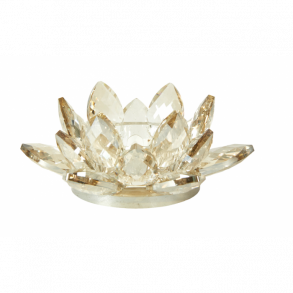 Blomst glas fyrfadsst. D12x5- Champ