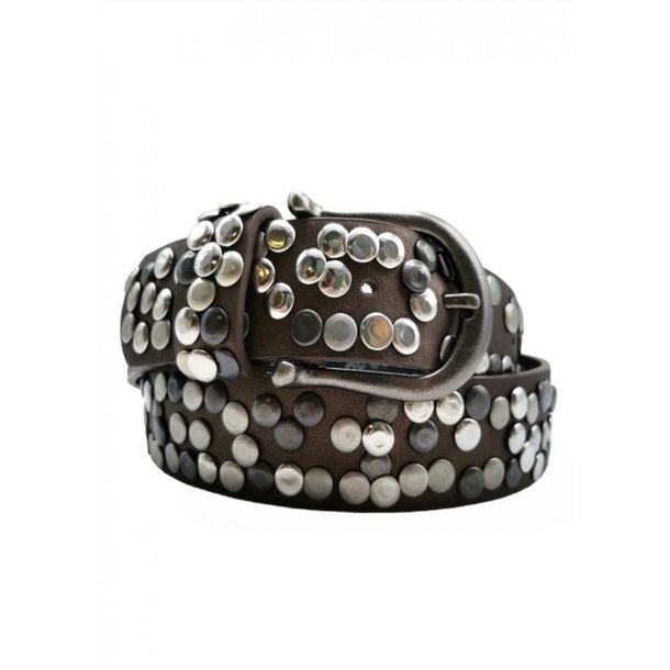 Nittet Belt 1359- Cafe