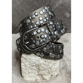 Nittet Belt 1359- Cafe