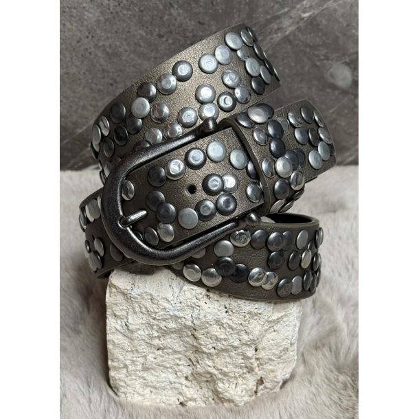 Nittet Belt 1359- Cafe